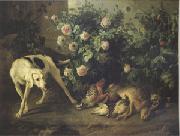 Francois Desportes Dog Guarding Game Near a Rosebush (mk05) oil painting on canvas